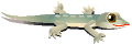 a0050838_21204538.gif