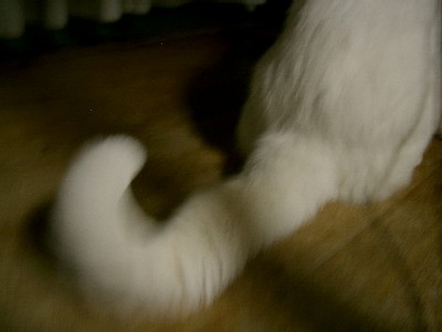 b0097145_0174333.jpg