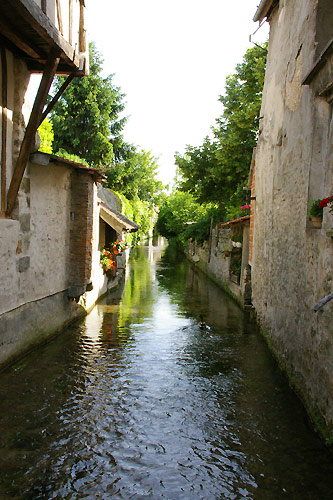 c0024345_98678.jpg