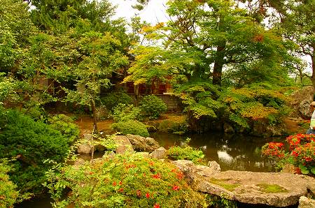 b0010162_17112767.jpg