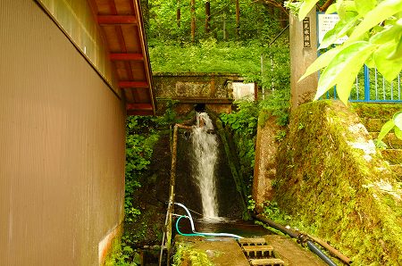 b0010162_1825653.jpg