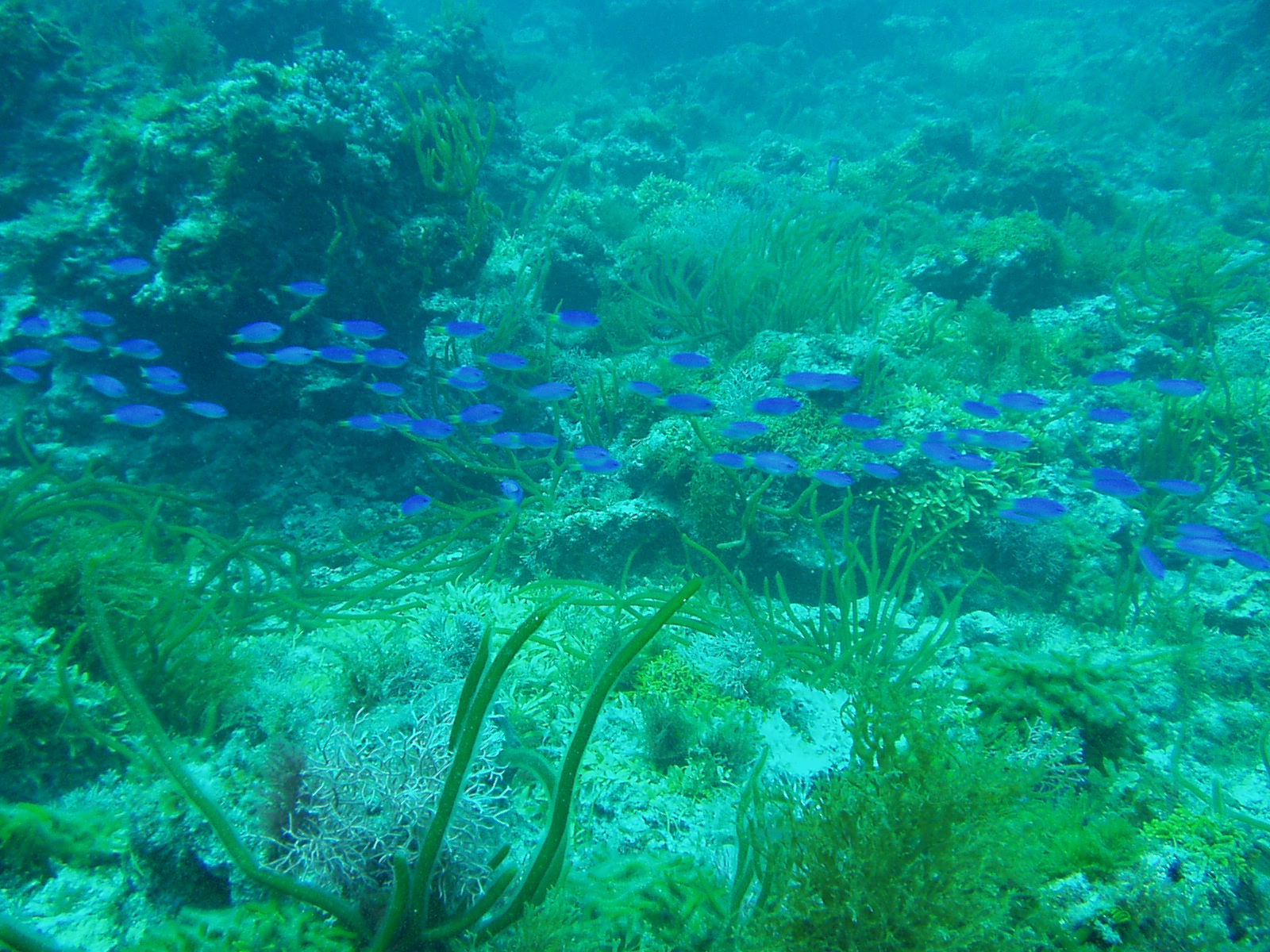 e0016207_1914929.jpg