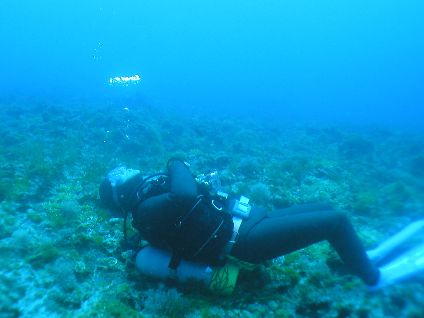 e0016207_1923071.jpg