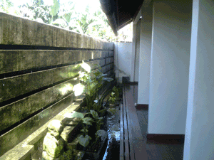 d0038319_9315584.gif