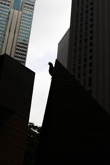 e0025030_18244621.jpg