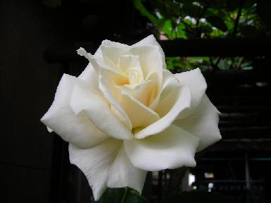 f0063931_8515949.jpg