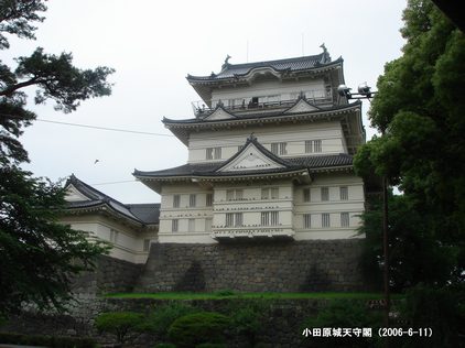 小学校同期会と小田原城址公園_d0037233_954918.jpg