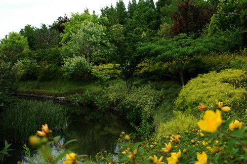f0032137_05516.jpg