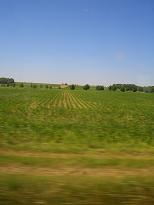 e0074251_764236.jpg