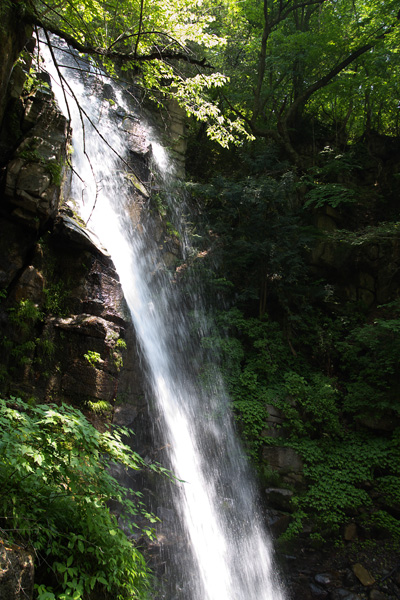 c0054876_5404510.jpg