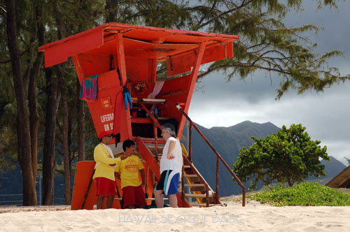 続･Waimanalo Beach_f0015440_48983.jpg