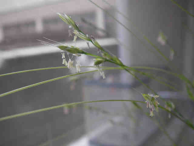 b0055151_21425625.jpg