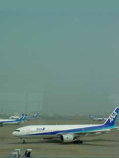 c0069766_94824.jpg