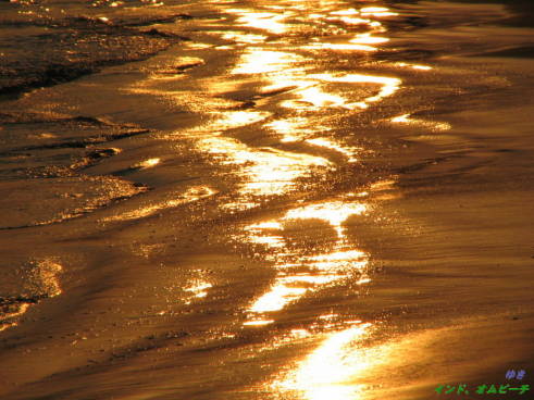 『星の太陽』『光る砂』？　インド／オム・ビーチにて_b0051109_1101535.jpg
