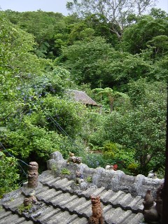 f0097620_23181029.jpg