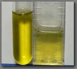aquamind laboratory　「pH assay kit」　モニターレポート_f0053122_1553050.jpg