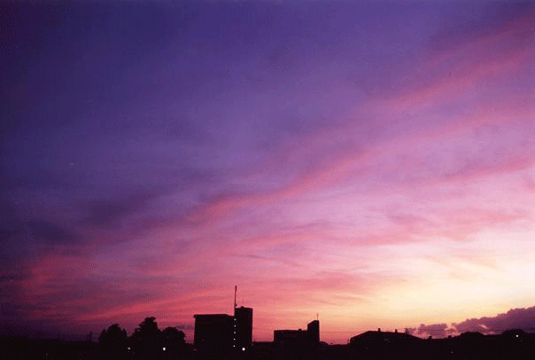 一日の終わり_f0103123_18193332.gif