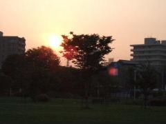 f0076529_12293788.jpg