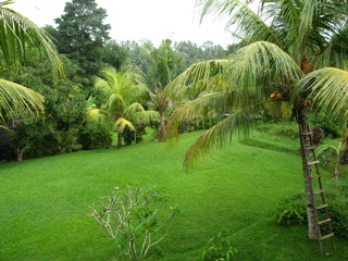 BALI 2006_d0010432_5485734.jpg
