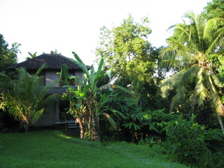 BALI 2006_d0010432_5523181.jpg