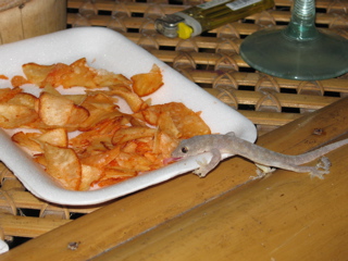 BALI 2006_d0010432_9155788.jpg