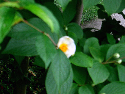 f0031546_2034884.jpg