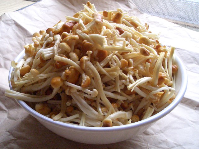 f0009451_10321033.jpg