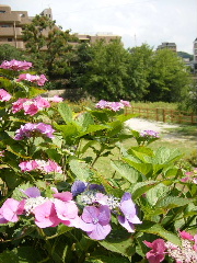 f0043559_22341891.jpg