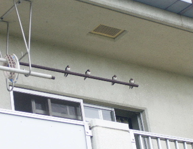 b0015260_90498.jpg