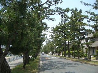 東海道中膝砕毛　１０日目（天竜川駅～二川宿）_f0011490_1840358.jpg