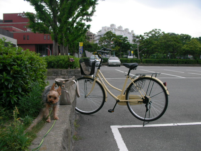 2006/06/14（水） 自転車博士_b0097394_011662.jpg