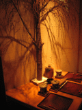 d0014408_11524216.gif