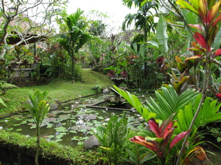 BALI 2006_d0010432_134858.jpg