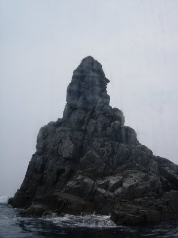 c0016259_093824.jpg