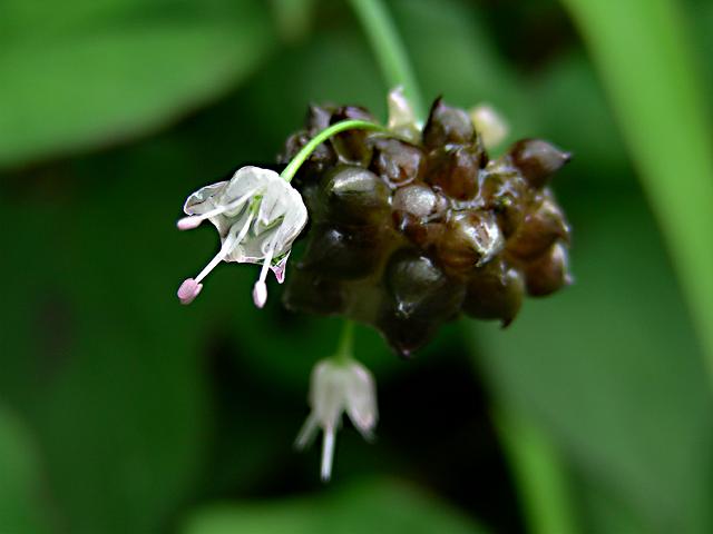 a0044076_2225149.jpg