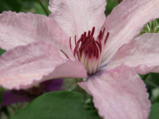 a0048790_21375496.jpg