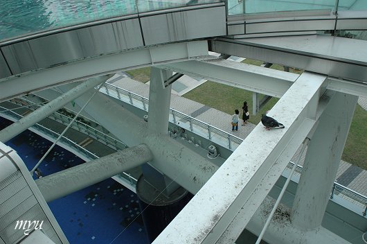 d0064000_971110.jpg