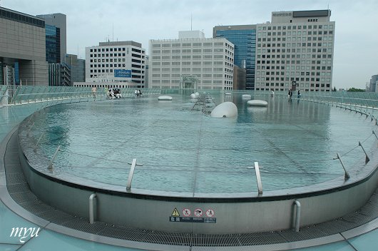 d0064000_97287.jpg