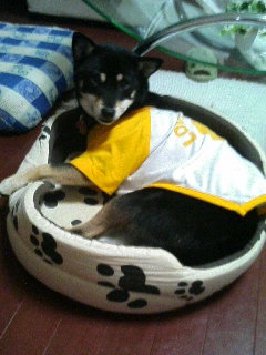 e0020501_2217891.jpg