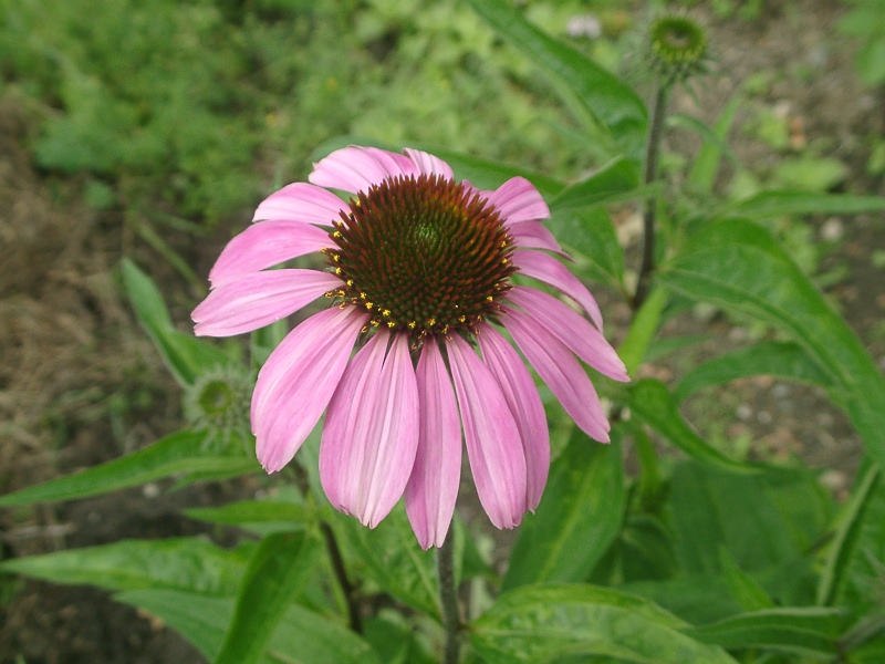 f0105732_14135164.jpg
