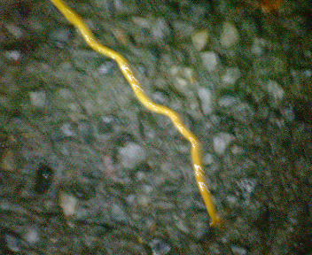 e0029836_1522173.jpg