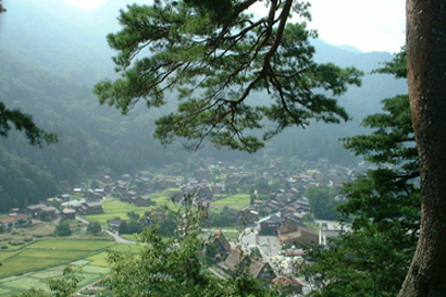 c0069348_92010.jpg