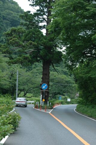 日鉱記念館・・・宮田町_f0089349_20485187.jpg