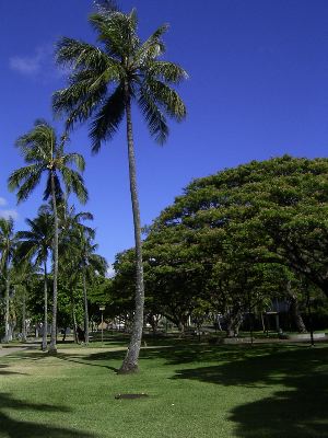f0085850_66234.jpg