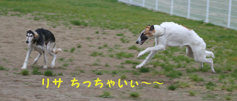 小雨の中の大爆走♪_a0018671_0313225.jpg