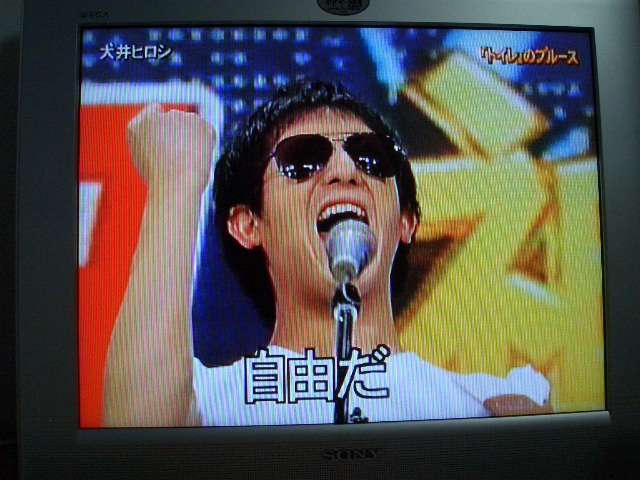 明日の日曜日 ソットヴァンと暮らしています