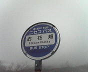 f0043275_2241388.jpg