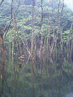 片倉ダム_a0040876_1231028.jpg