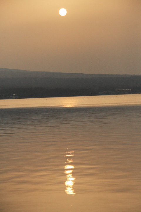 f0105478_2114861.jpg