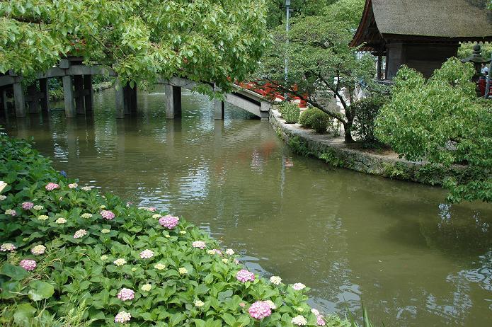 a0042310_1044277.jpg